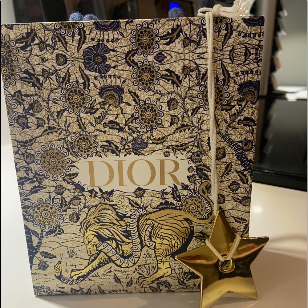 Dior shopping bag